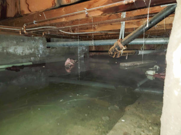 Best Flooded house restoration  in Lykens, PA