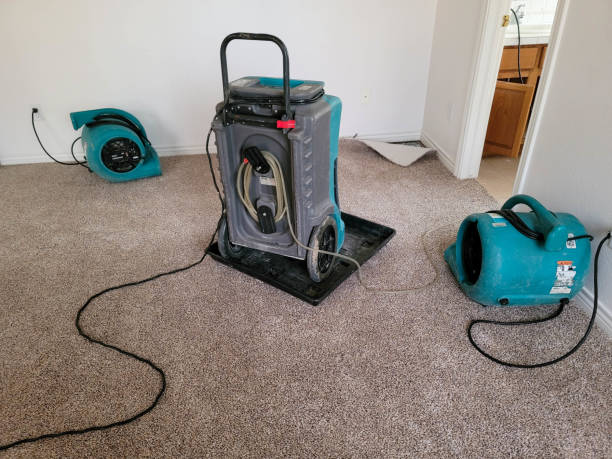 Best Carpet water damage restoration  in Lykens, PA