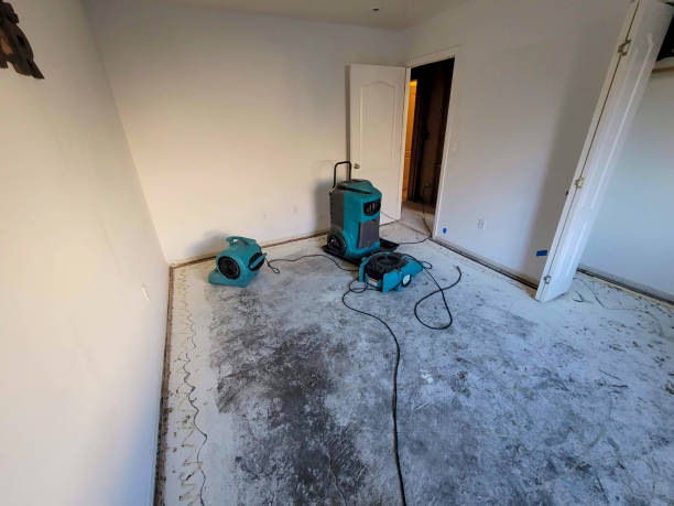 Best Ceiling water damage repair  in Lykens, PA