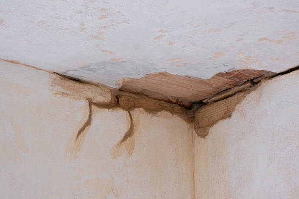 Best Mold removal after water damage  in Lykens, PA