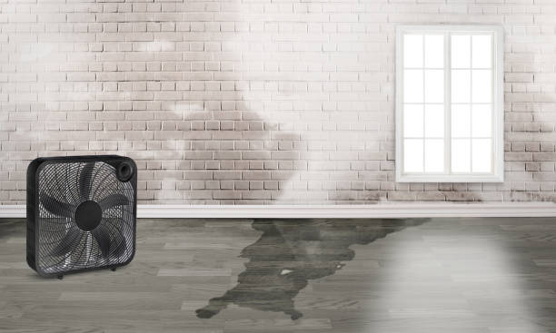 Water damage restoration experts in Lykens, PA