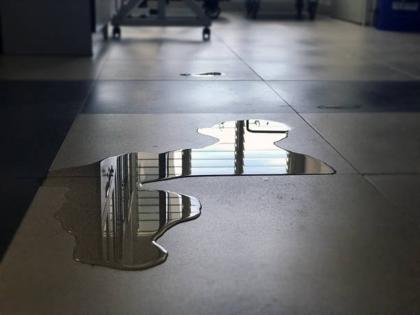 Best 24/7 water damage repair  in Lykens, PA