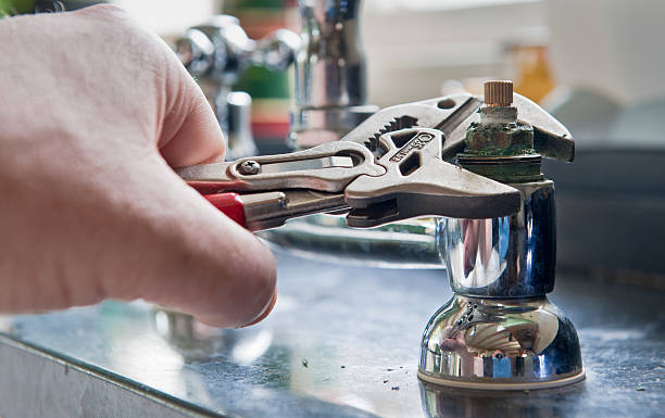 Best Mold removal after water damage  in Lykens, PA