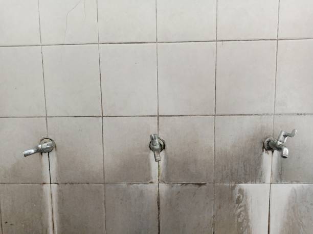 Best Commercial water damage restoration  in Lykens, PA