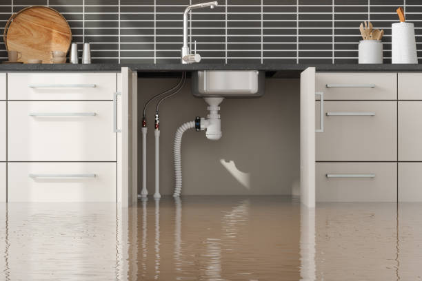 Best Water damage contractors near me  in Lykens, PA