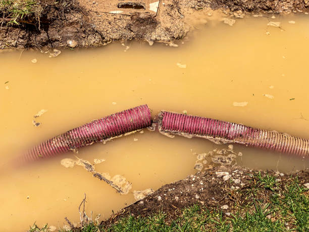 Best Residential water damage restoration  in Lykens, PA