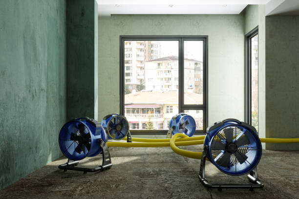 Best Water damage restoration cost  in Lykens, PA